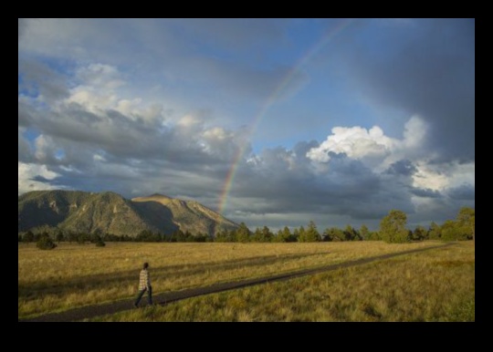 مناظر دراماتيكية: مناظر طبيعية مذهلة في كل إطار