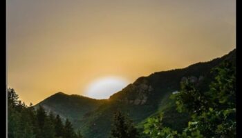 سجلات مخططة: تتبع خطوط الحكمة السفر