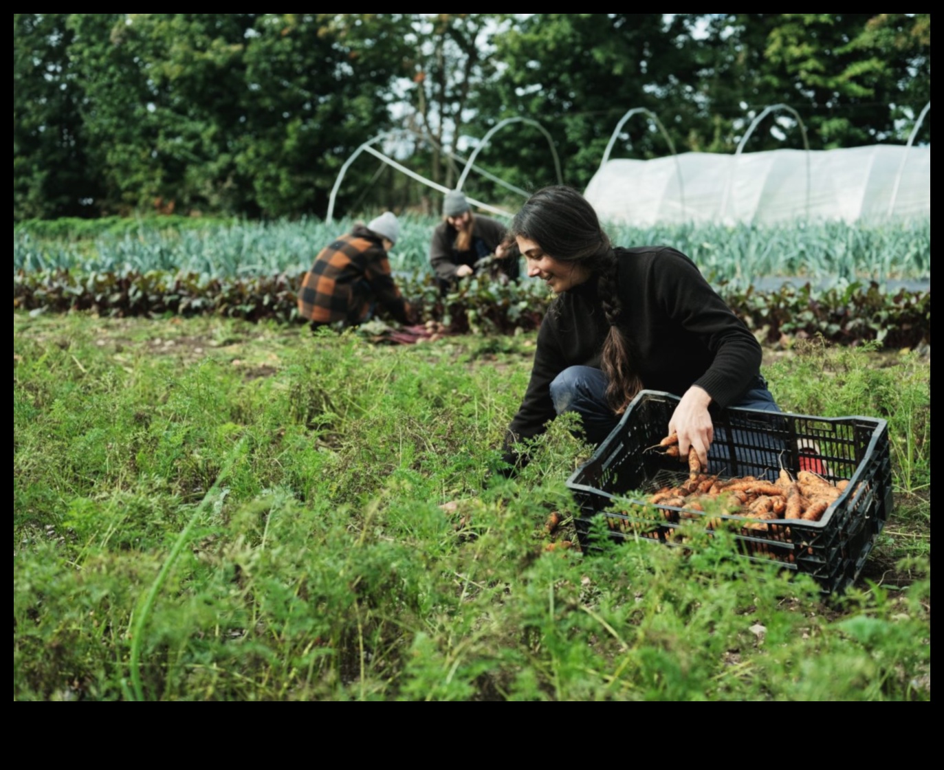 حصاد المعرفة: انضم إلى حركة ورش عمل الحدائق
