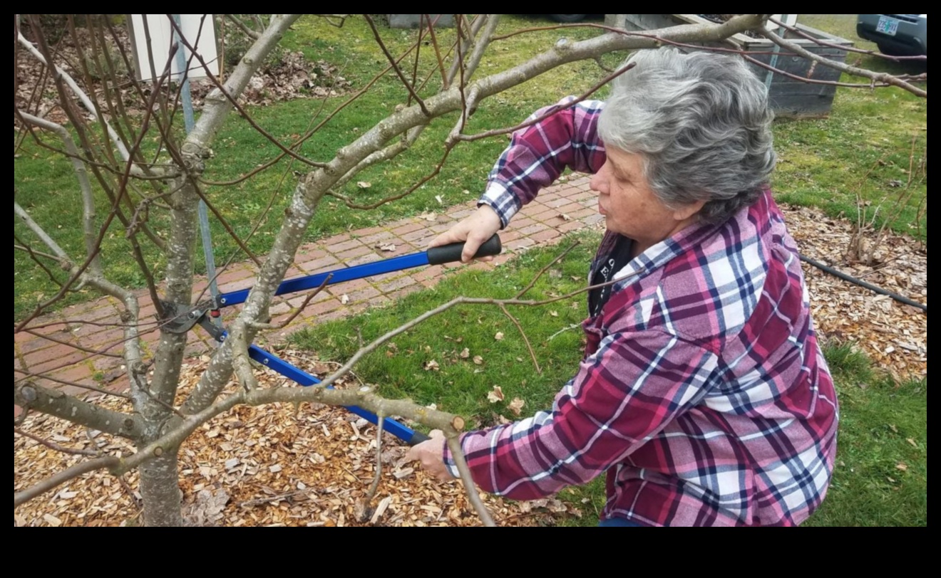 حصاد المعرفة: انضم إلى حركة ورش عمل الحدائق