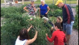 حصاد المعرفة: انضم إلى حركة ورش عمل الحدائق