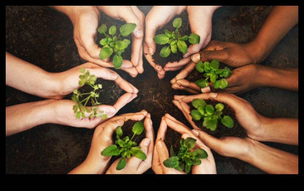 ازرع بذور النجاح: نصائح الخبراء لتخطيط الحدائق