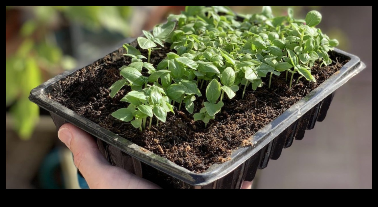 ازرع بذور النجاح: نصائح الخبراء لتخطيط الحدائق