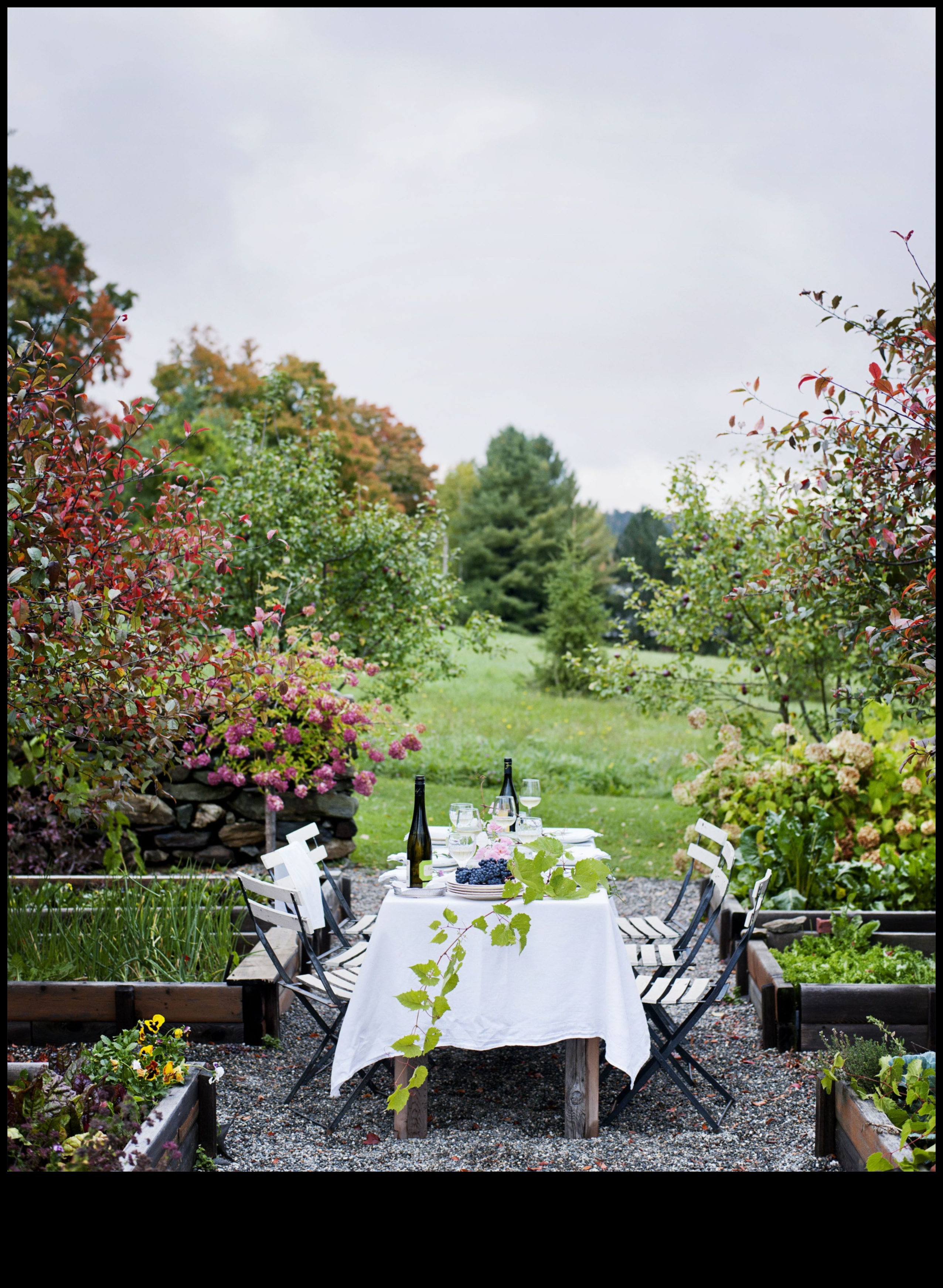 حدائق بحجم نصف لتر: تم الكشف عن روائع البستنة الداخلية