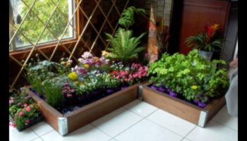 حدائق بحجم نصف لتر: تم الكشف عن روائع البستنة الداخلية