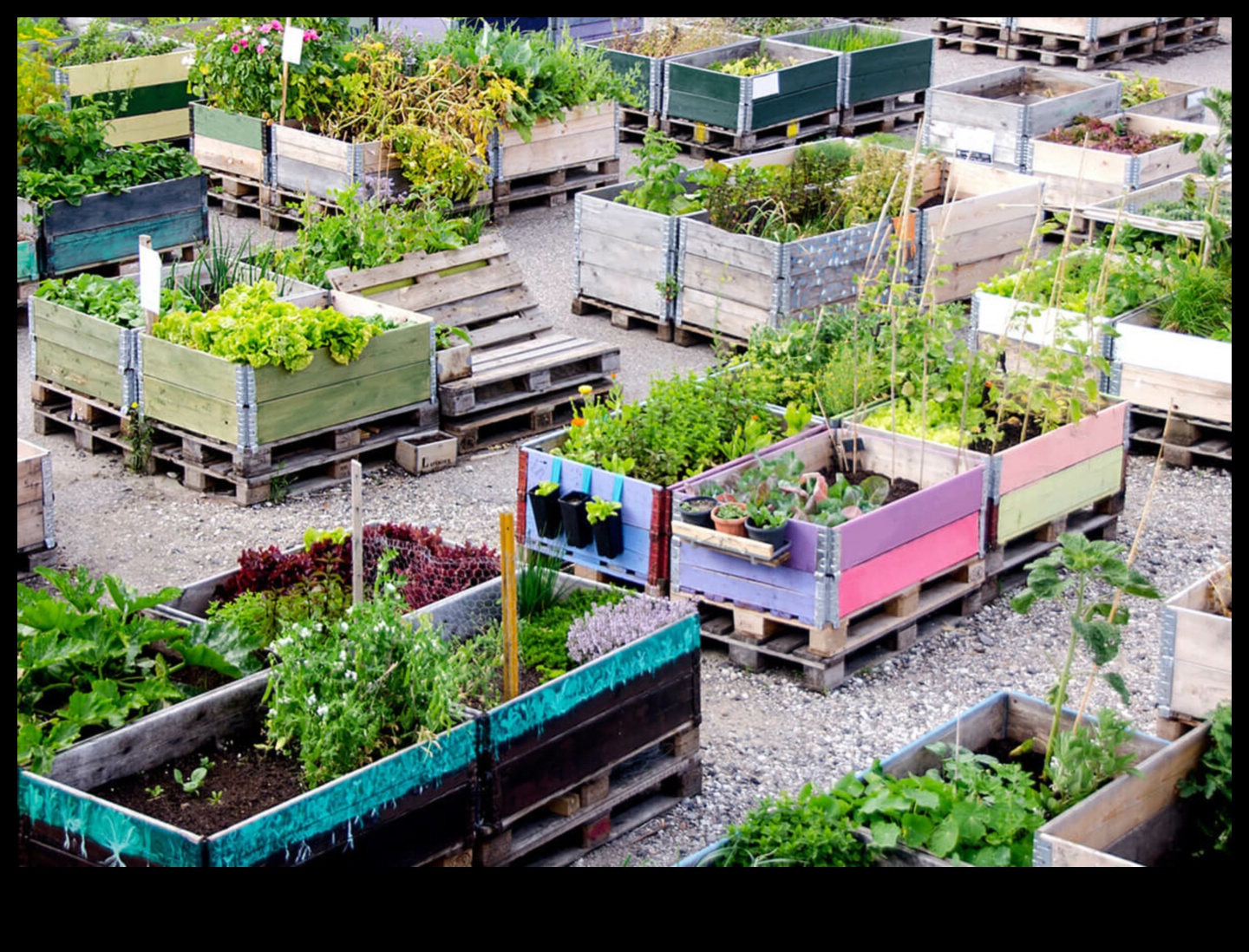 أزهار شاهقة: البستنة العمودية للخلوات الحضرية