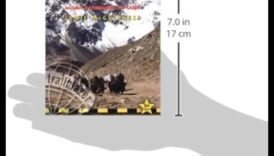 رحلة تريل بليزر: دليلك للمشي بصحبة مرشدين