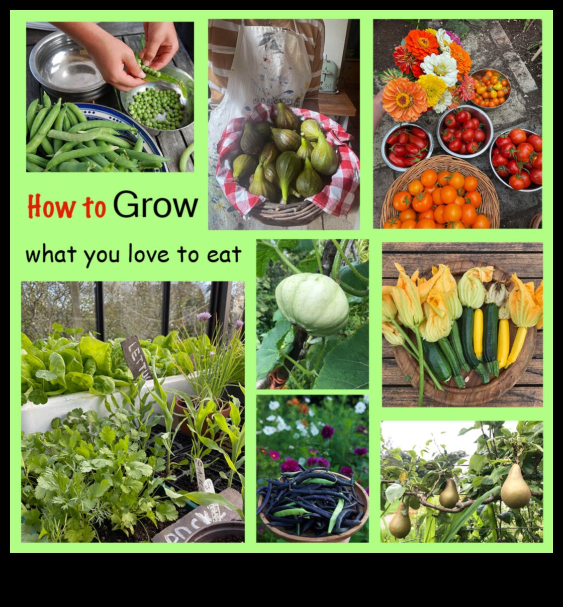 سجلات ورشة عمل الحديقة: حيث تزدهر الأفكار