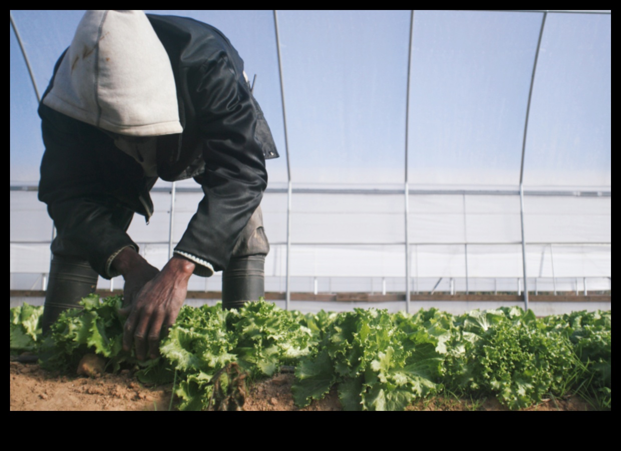 سجلات ورشة عمل الحديقة: حيث تزدهر الأفكار