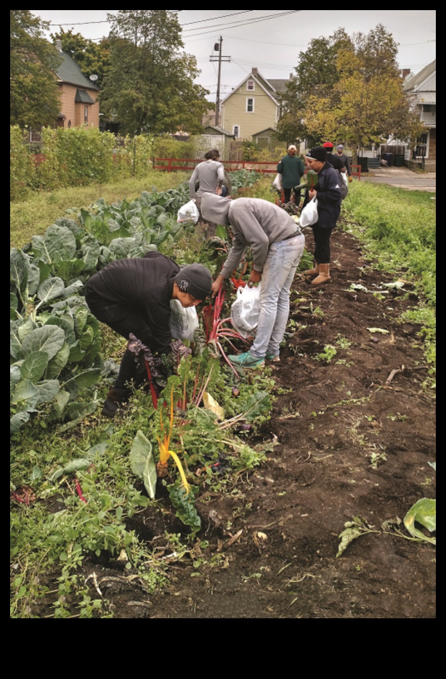 سجلات ورشة عمل الحديقة: حيث تزدهر الأفكار