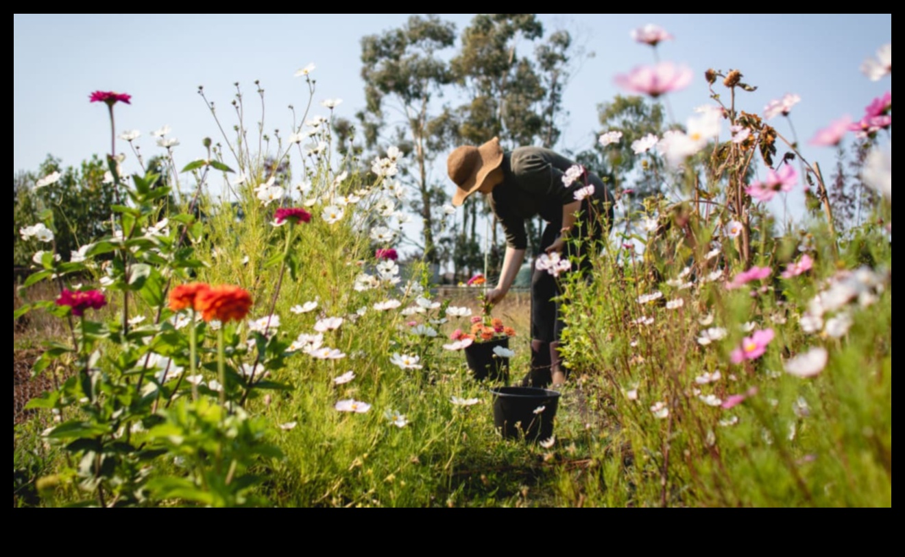 سجلات ورشة عمل الحديقة: حيث تزدهر الأفكار