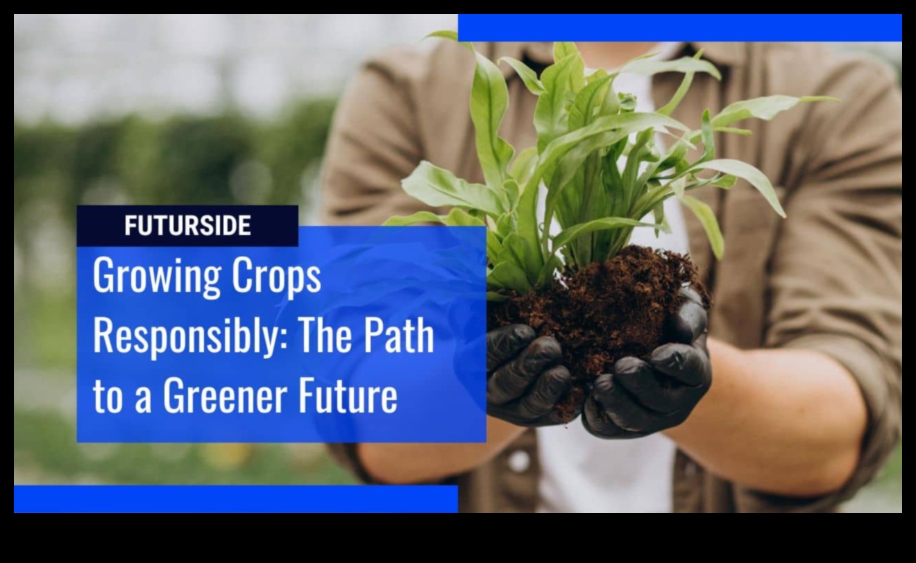 الزراعة المستدامة طريق إلى المستقبل 5 كيف تساهم الممارسات الزراعية المختلفة في استدامة المناظر الطبيعية؟