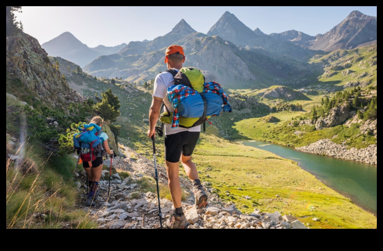 استكشاف الماضي سيرا على الأقدام: دليل للمشي لمسافات طويلة التاريخية 4 الرحلات التاريخية: الكشف عن الماضي سيرًا على الأقدام