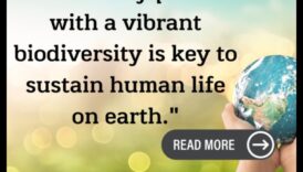 المرونة البيولوجي هو الشيء المهم لكوكب مفيد 3 ثروات الغابات المطيرة: التنوع البيولوجي في المناظر الطبيعية الخصبة