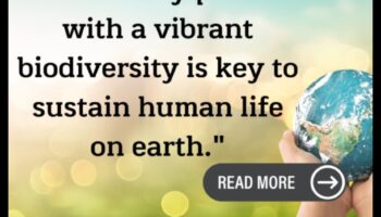 ثروات الغابات المطيرة: التنوع البيولوجي في المناظر الطبيعية الخصبة