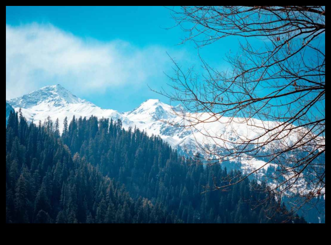 رؤى مهيبة: استكشاف عظمة المناظر الطبيعية الجميلة للأرض