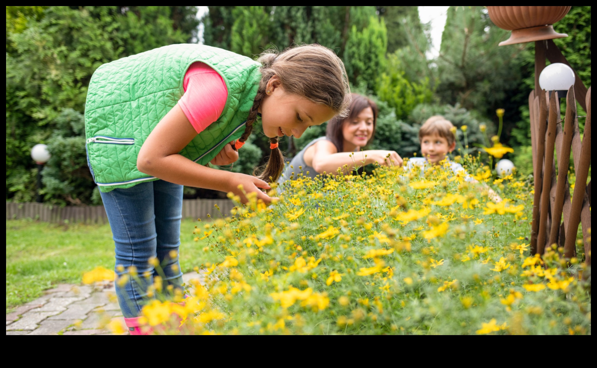 حارس الخضر: إتقان تكتيكات الدفاع عن آفات الحديقة