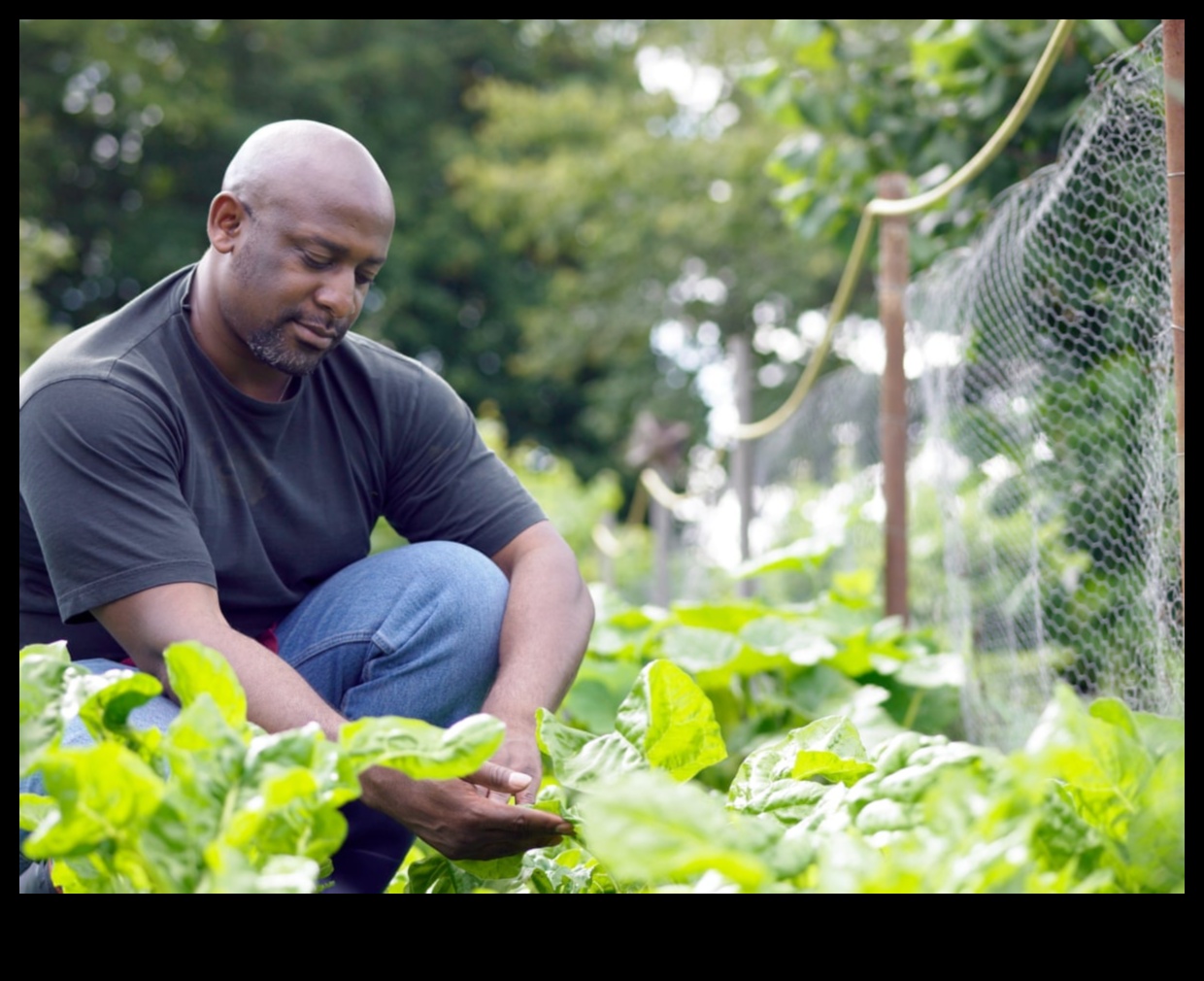 حارس الخضر: إتقان تكتيكات الدفاع عن آفات الحديقة