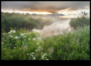 لماذا تعتبر الأراضي الرطبة مهمة لتنقية المياه وتنقيتها؟