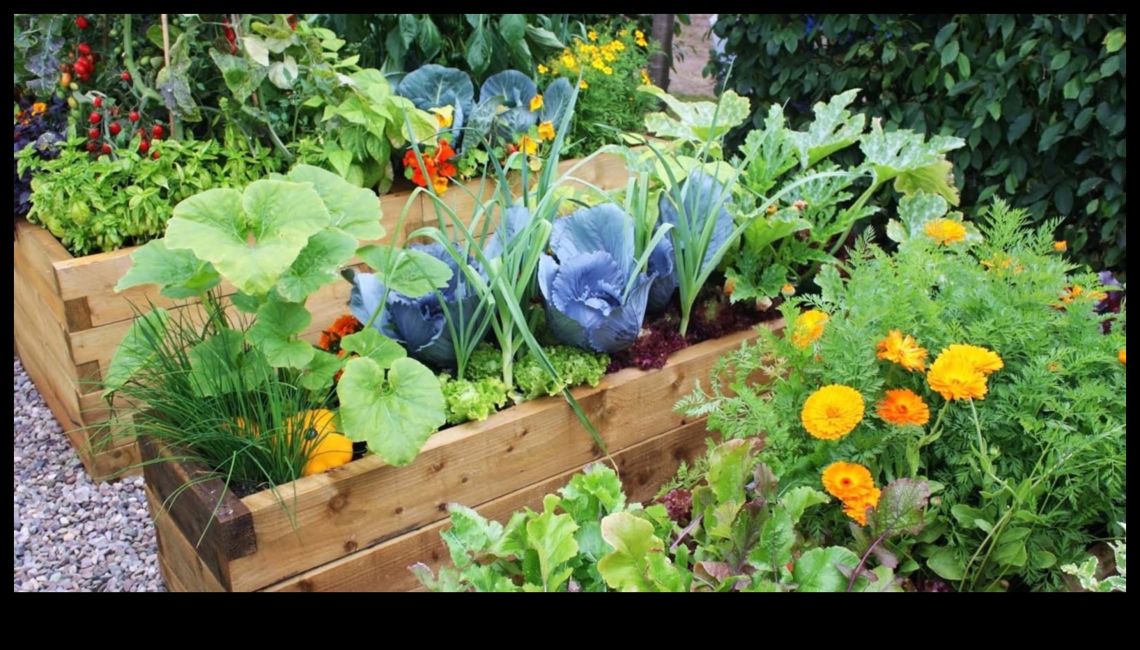 حدائق متناغمة: الكشف عن سحر الزراعة المصاحبة