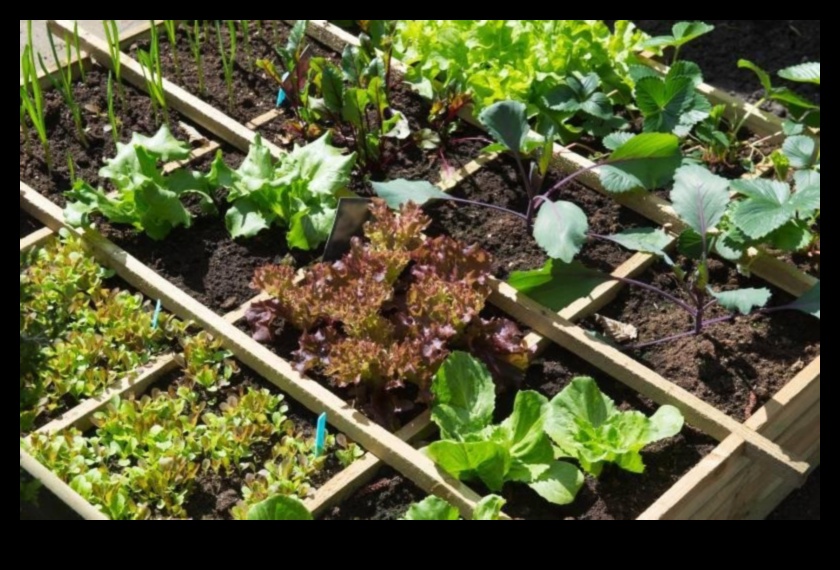 حدائق متناغمة: الكشف عن سحر الزراعة المصاحبة