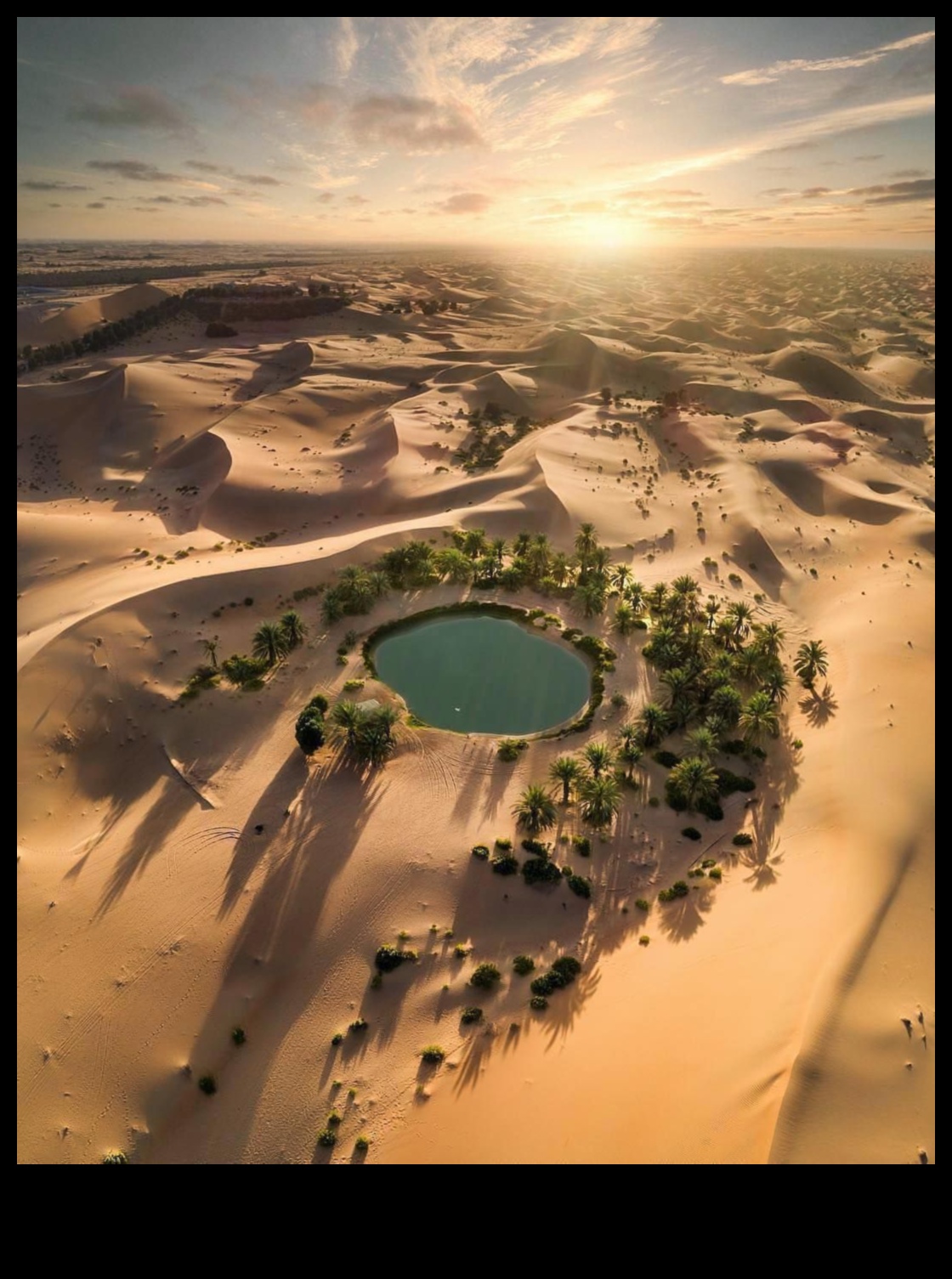 واحة في الصحراء 4 سراب الصحراء: أوهام في المناظر الطبيعية القاحلة