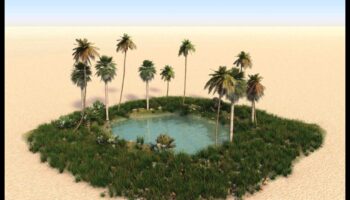 سراب الصحراء: أوهام في المناظر الطبيعية القاحلة