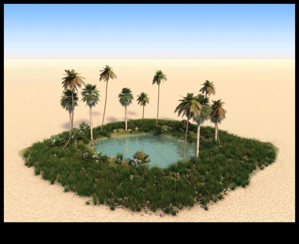 سراب الصحراء: أوهام في المناظر الطبيعية القاحلة