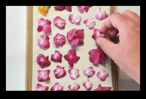 من الورق إلى البتلات: إتقان فن تخطيط الحدائق