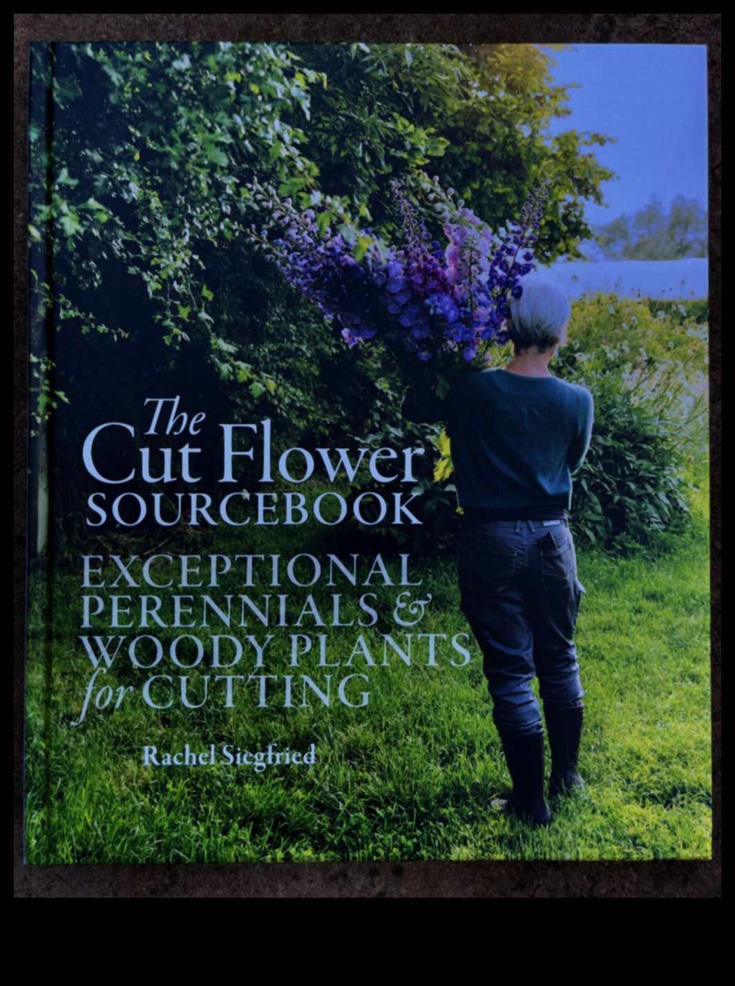 الحكمة الجذور: التألق المتزايد في ورش عمل الحديقة