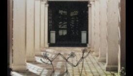 الحكمة الجذور: التألق المتزايد في ورش عمل الحديقة