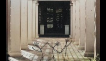 الحكمة الجذور: التألق المتزايد في ورش عمل الحديقة