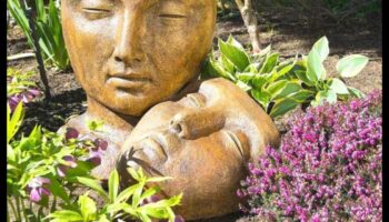 نحت الصفاء: فن الحدائق الفريد للمساحات الهادئة