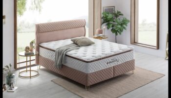 نمط الحياة الهجين: التوازن المثالي بين الأسلوب والراحة والكفاءة