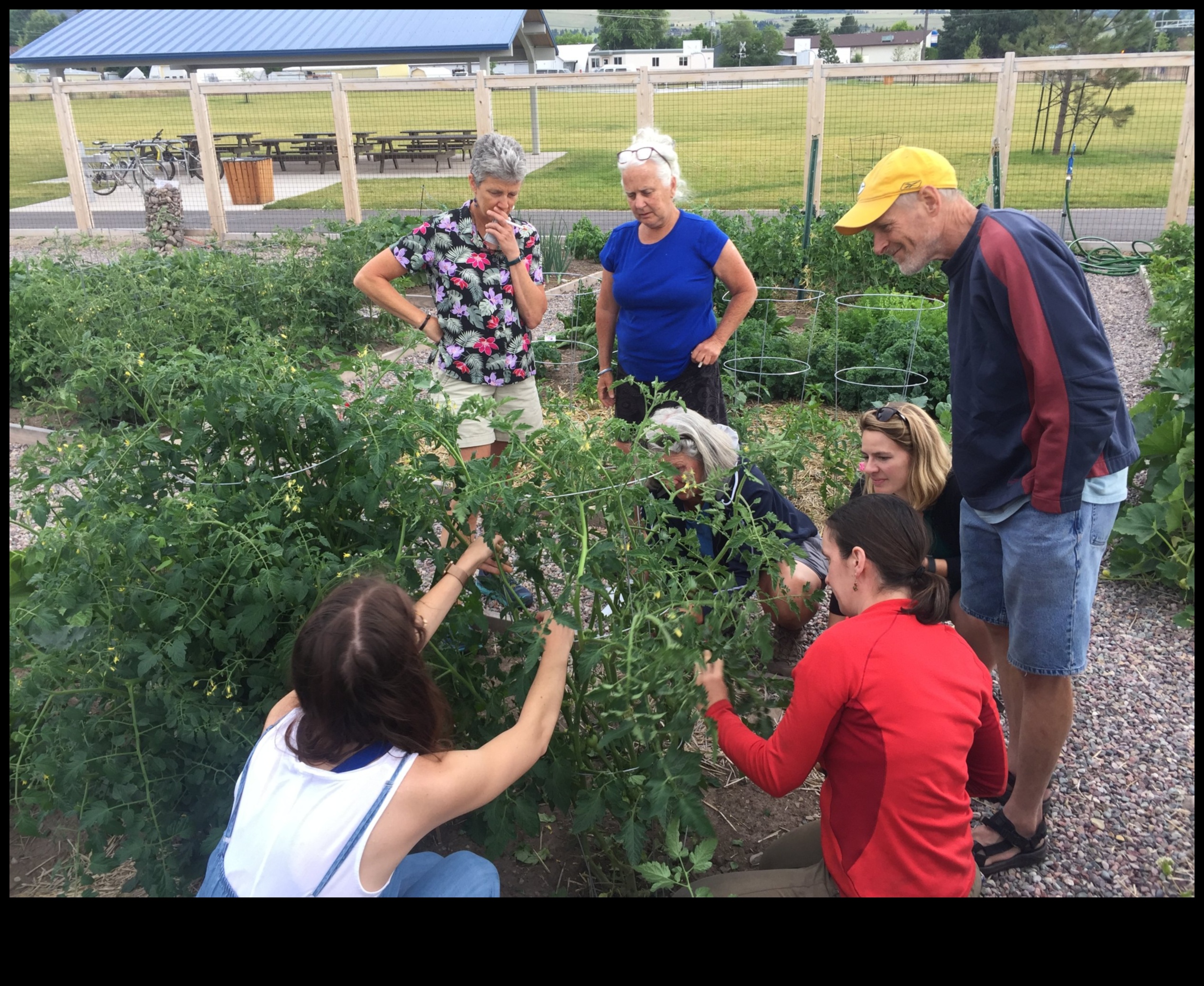 حصاد المعرفة: انضم إلى حركة ورش عمل الحدائق